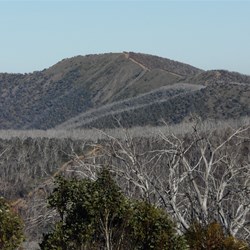 Our view of Blue Rag Trig