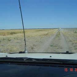 On the way to the wheat crop