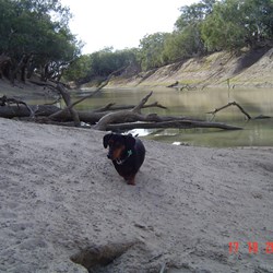 The view up the river