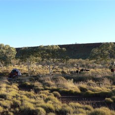 Waiting for the morning sun to warm us up.