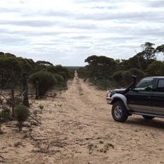 Start of Goog's Track