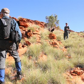 Jaydub...man of action!  Tramping in the Erica's