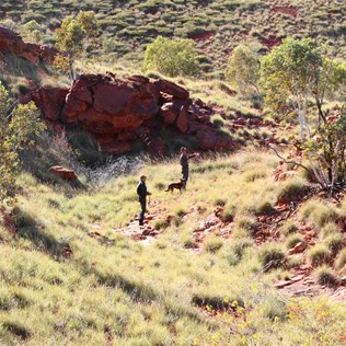 Jaydub and Al in the main creek