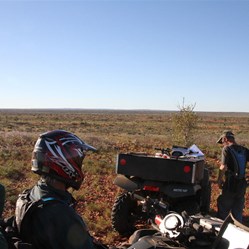 On the go.....afternoon travels