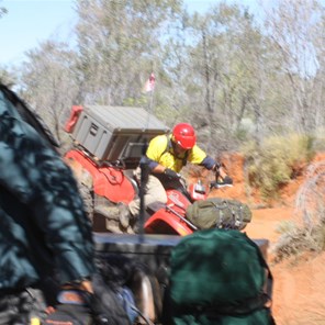 Diving into the creek