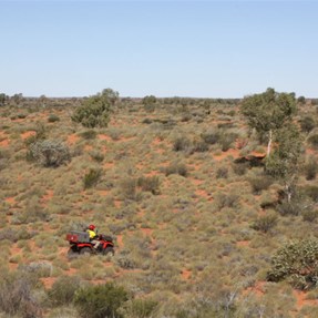 Negotiating the dunes