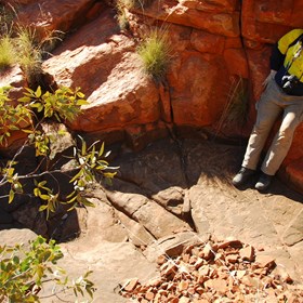 Taking advantage of the shade
