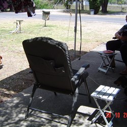 The dog was hoping the chooks would come within lead length