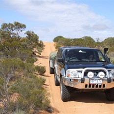 On the track - Goog's heading north.