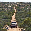 The massive dunes of Goog's Track.