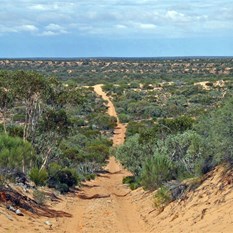 A typical section of Goog's Track SA