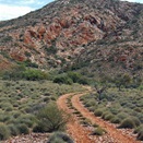 The track in to Mount Finke