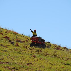 At Wilson Glen - northern side