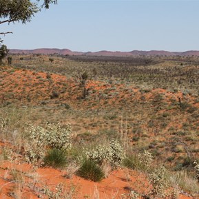 View towards the Stansmore from Morning tea break