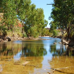 Ephemeral pool at the entrance to Wilson Glen