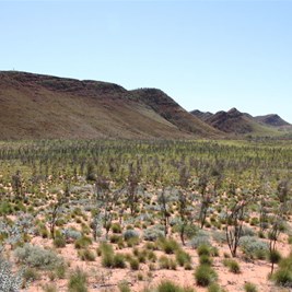 The Stansmore Range from the mighty dunes to the south