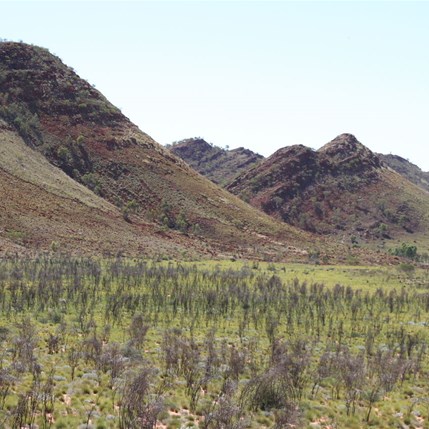 The enterance of Wilson Glen as seen from the south.