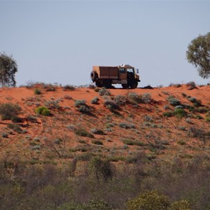 The Camel mog surfing the dunes
