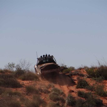 Petey crossing another monster!