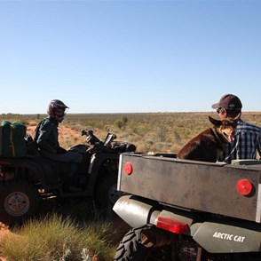 The boys discussing the route