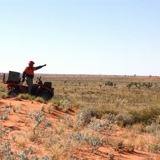 Yep, that-a-way I reckon!