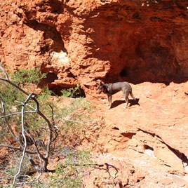 Cavern at the gorge end