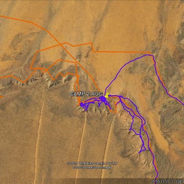 Late afternoon exploration