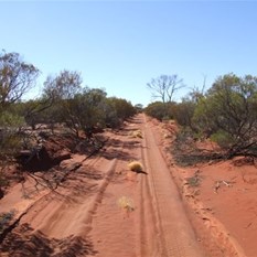 The early stretches of the Anne Beadell Hwy