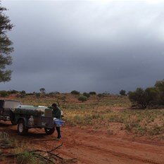Lunch by the road in the growing gloom.