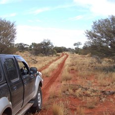 And the clouds parted....thank goodness!