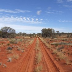 Driving into a clear afternoon