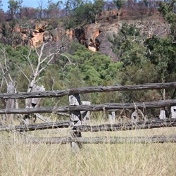 Mt Moffatt Stockyards