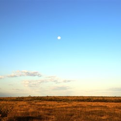 Moon rising over the Tanami Desert