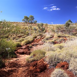 Walking track to the rim of Wolfe Creek meteorite crater