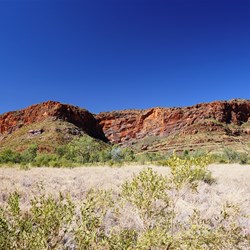 First views of the Bungle Bungle Range