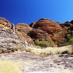 The walking track to Cathedral Gorge