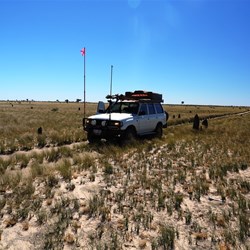 The spinifex plains at the northern end of the CSR seem to go on forever