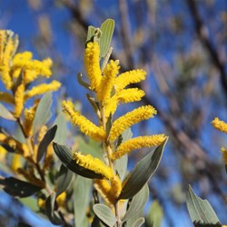 There were plenty of wildflowers when we visited