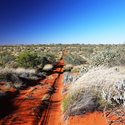 Into the dunes