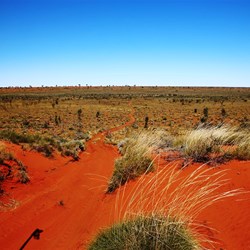 One of hundreds of dune crossings, some very red...