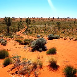 ...and some not so red