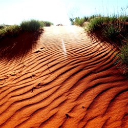 Wind ripples on a dune in the late afternoon