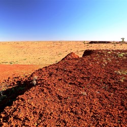 Looking across the aptly named Great Sandy Desert from the rocky breakaway near Tobin Lake