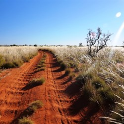 Yep, more corrugations