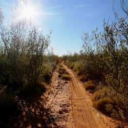 The track closed in after Well 31