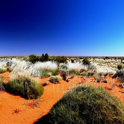 Wide open plains near Thring Rock