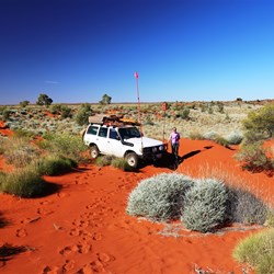 The dunes become smaller and further apart south of Well 25