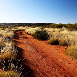 Sharing the track with a camel (note the footprints) near Well 22