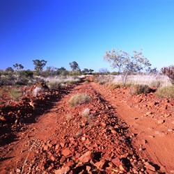 Once again, slow going through the stony sections
