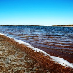 Savory Creek feeds into Lake Disappointment